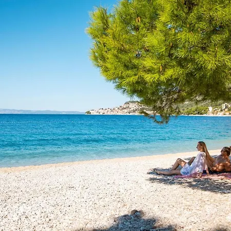 ホテル Tui Blue Adriatic (adults Only) イグラネ